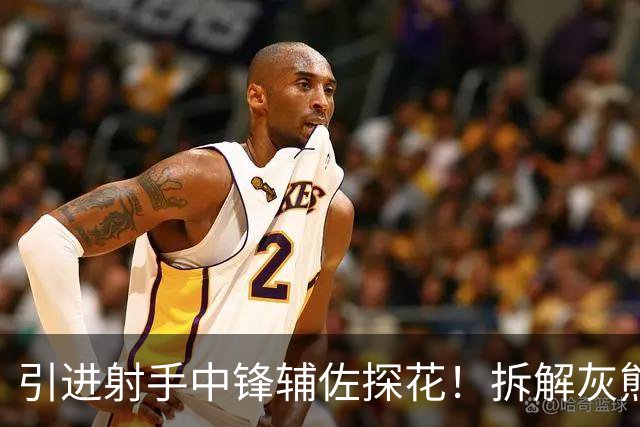 引进射手中锋辅佐探花！拆解灰熊新秀布泽尔&新援波斯特