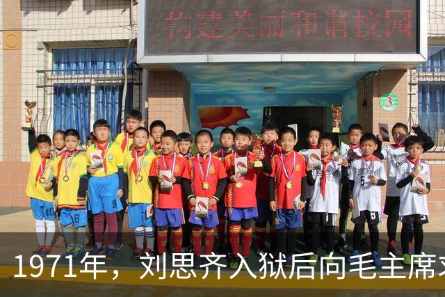 1971年，刘思齐入狱后向毛主席求救，毛泽东最高指示：娃娃们无罪